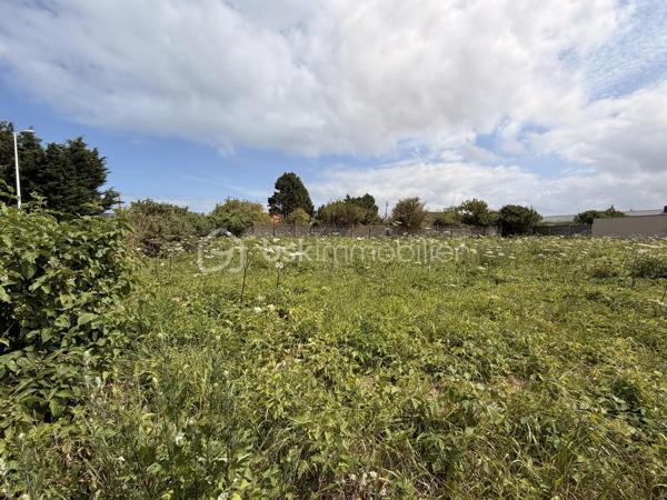 Dans un village avec commerces et écoles venez découvrir ce terrain constructible de 1176m2.
Terrain plat avec tout à l égout, eaux, électricité, et fibre en bordure de terrain, situé à Criel sur mer à quelques minutes de la mer.

La parcelle est vendue libre de tout constructeur, vous laissant ainsi la liberté d'imaginer et de concrétiser la maison de vos rêves, selon vos envies et votre mode de vie.

Ne manquez pas cette opportunité rare de bâtir votre futur chez-vous dans un cadre privilégié. Il ne reste plus qu'à dessiner votre projet.

Beau potentiel ! 
Secteur calme et recherché