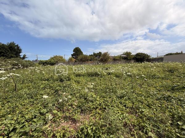 Dans un village avec commerces et écoles venez découvrir ce terrain constructible de 1176m2.
Terrain plat avec tout à l égout, eaux, électricité, et fibre en bordure de terrain, situé à Criel sur mer à quelques minutes de la mer.

La parcelle est vendue libre de tout constructeur, vous laissant ainsi la liberté d'imaginer et de concrétiser la maison de vos rêves, selon vos envies et votre mode de vie.

Ne manquez pas cette opportunité rare de bâtir votre futur chez-vous dans un cadre privilégié. Il ne reste plus qu'à dessiner votre projet.

Beau potentiel ! 
Secteur calme et recherché
