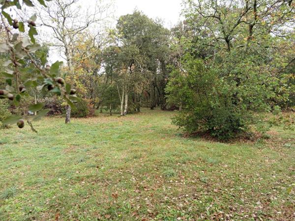 Villa 194m² sur 4500m² de terrain avec piscine Grignan 659 000HAI