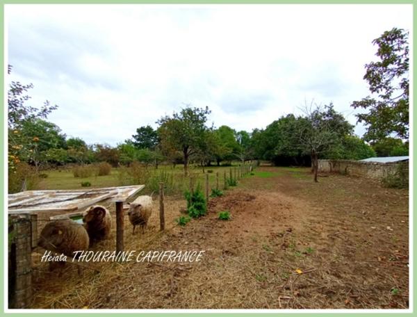 Terrain constructible à vendre SAINT MAIXENT L'ECOLE (79)