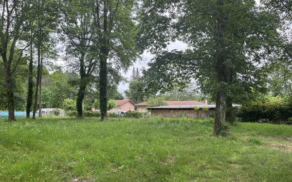 Terrain à vendre |  Taller |  1500 m²