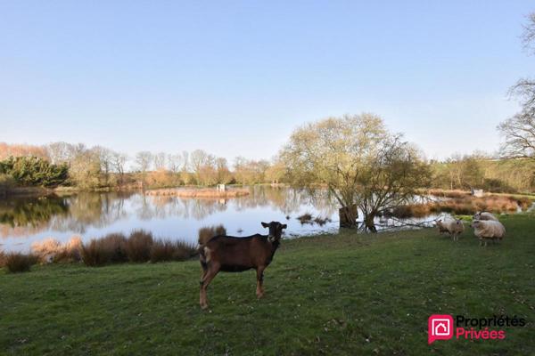 Terrain de loisirs La Tessoualle 41945 m2