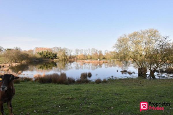 Terrain de loisirs La Tessoualle 41945 m2