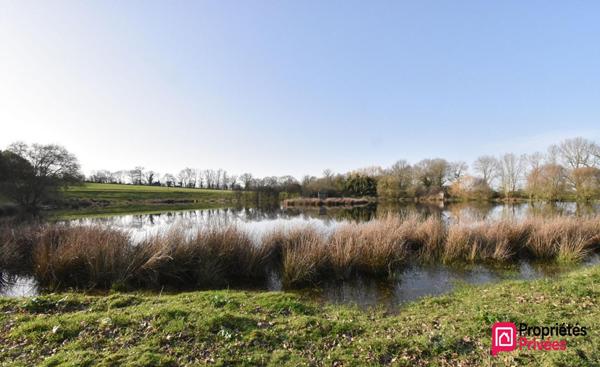 Terrain de loisirs La Tessoualle 41945 m2