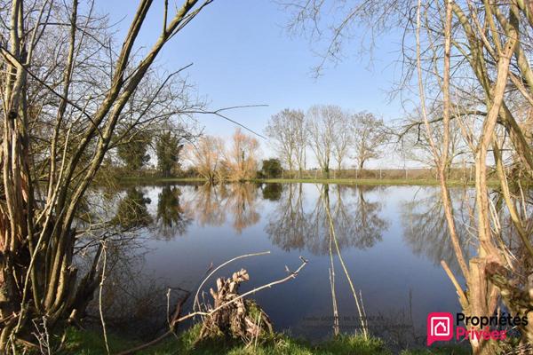Terrain de loisirs La Tessoualle 41945 m2