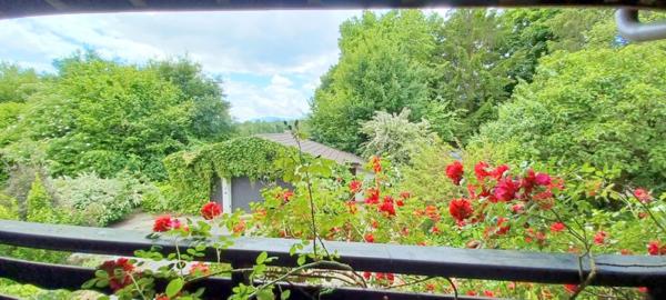Saint-Jean-de-Gonville (01630) Maison 6 pièces avec piscine et terrain