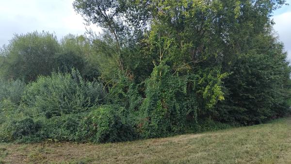 terrain non constructible