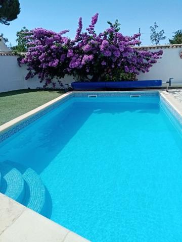 Maison à vendre |  Maraussan |  5 pièces | 134 m²