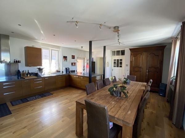 Maison d'habitation 7 pièces + locaux professionnels, Colmar Haut-Rhin