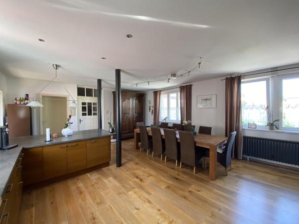 Maison d'habitation 7 pièces + locaux professionnels, Colmar Haut-Rhin