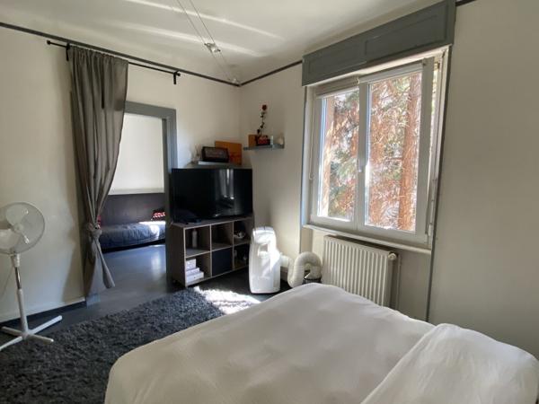 Maison d'habitation 7 pièces + locaux professionnels, Colmar Haut-Rhin