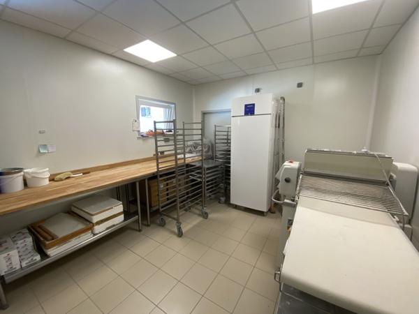 Maison d'habitation 7 pièces + locaux professionnels, Colmar Haut-Rhin