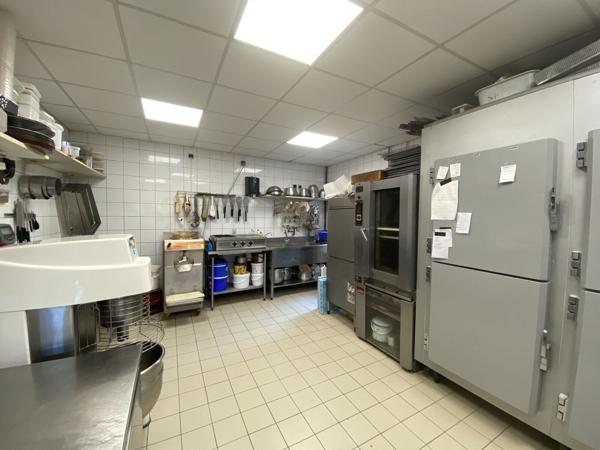 Maison d'habitation 7 pièces + locaux professionnels, Colmar Haut-Rhin