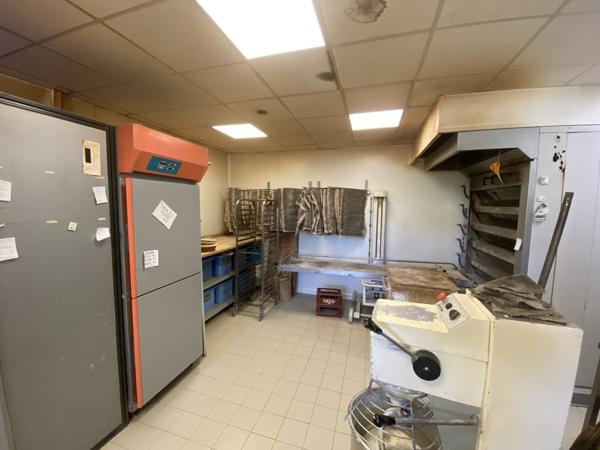 Maison d'habitation 7 pièces + locaux professionnels, Colmar Haut-Rhin