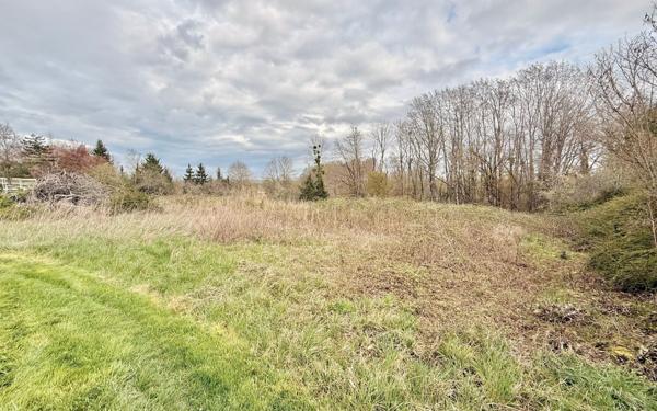 Terrain à vendre    Binges