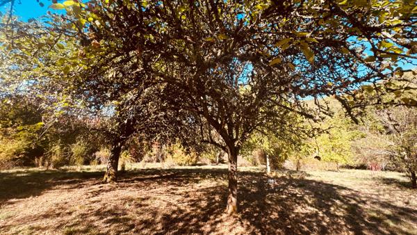 EXCLUSIVITE - AVALLON , VALLEE DU COUSIN . Propriété avec terrain de 3 ha 53 environ au prix de 267 500 €
