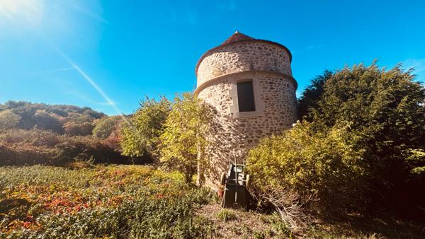 EXCLUSIVITE - AVALLON , VALLEE DU COUSIN . Propriété avec terrain de 3 ha 53 environ au prix de 267 500 €