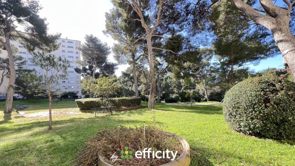 Appartement 2 pièces - 50 m²