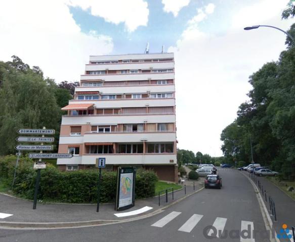 Appartement à louer à Malzéville (54220)