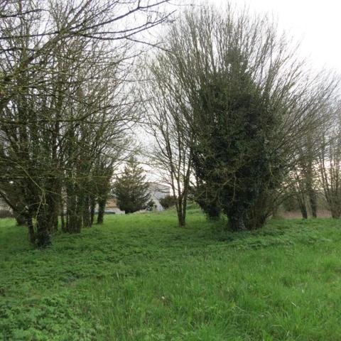 Exceptionnel Terrain  à bâtir