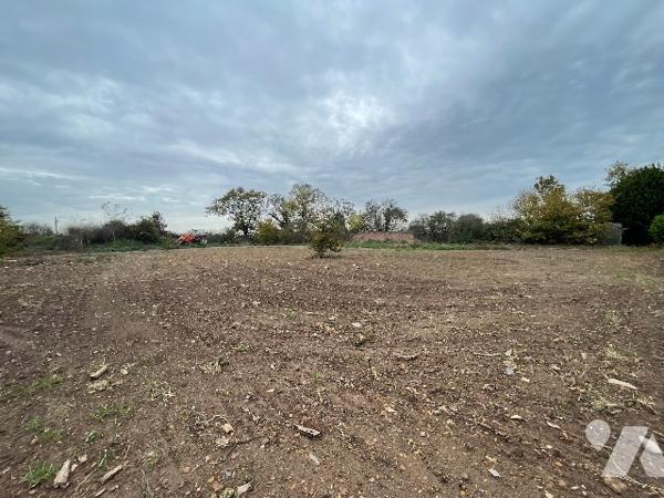 Maison entièrement rénovée – Calme, terrain et dépendance
