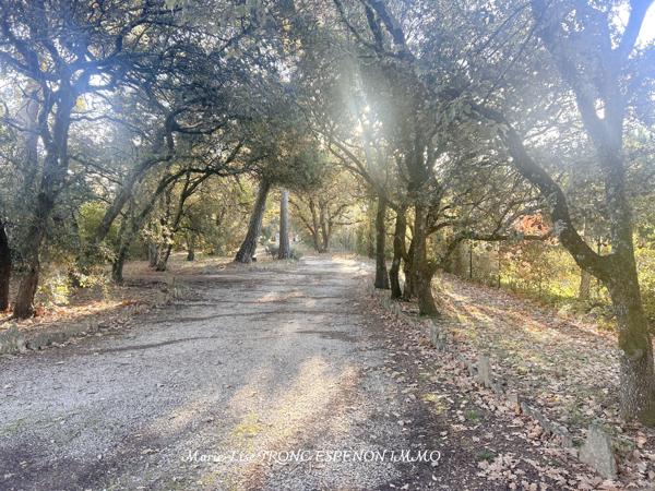 Maison 7 pièces - 194 m² Bien prestige
