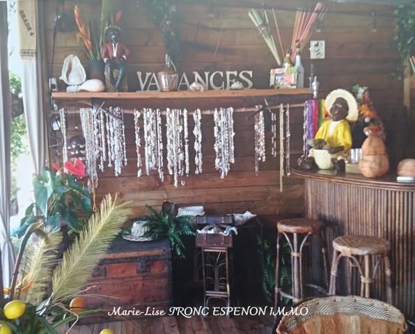 Maison 7 pièces - 194 m² Bien prestige