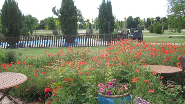 Airvault (79600) Airvault Investissement ideale avec camping