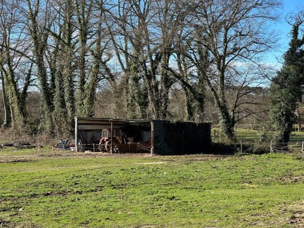 Maison ancienne Saubusse 140 m²