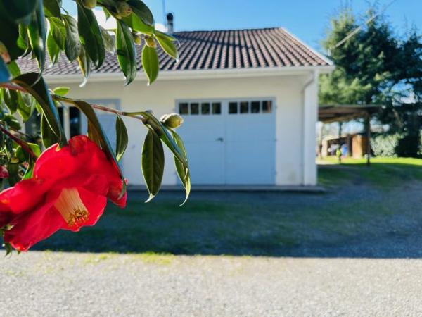 Maison ancienne Saubusse 140 m²