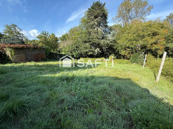 Spacieuse maison avec jardin en bord de rivière !