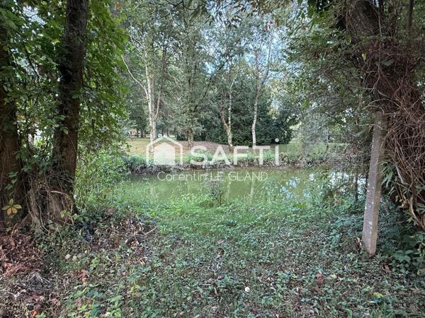 Spacieuse maison avec jardin en bord de rivière !