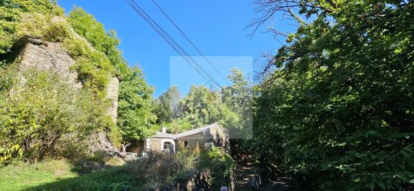 Maison à vendre à Saint Hilaire de Lavit - 3 pièces, 110 m², terrain 2744 m²