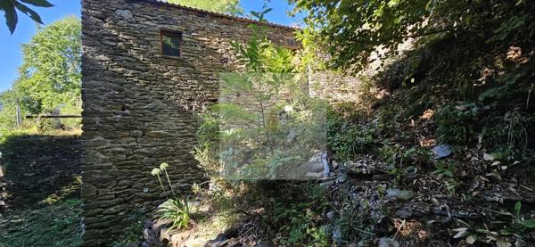 Maison à vendre à Saint Hilaire de Lavit - 3 pièces, 110 m², terrain 2744 m²