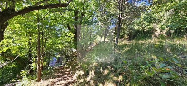 Maison à vendre à Saint Hilaire de Lavit - 3 pièces, 110 m², terrain 2744 m²