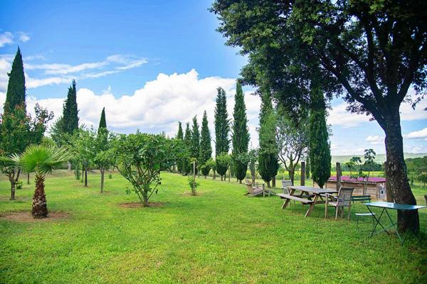 Un Domaine Provençal d'Exception à 30 Minutes d'Uzès