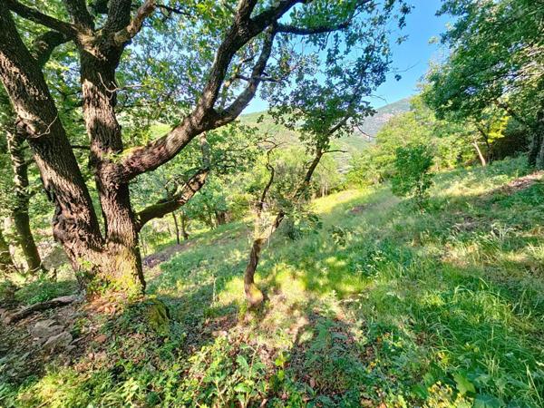 Graissessac – Ruine à réhabiliter avec terrain de 2 500 m² et vue dominante