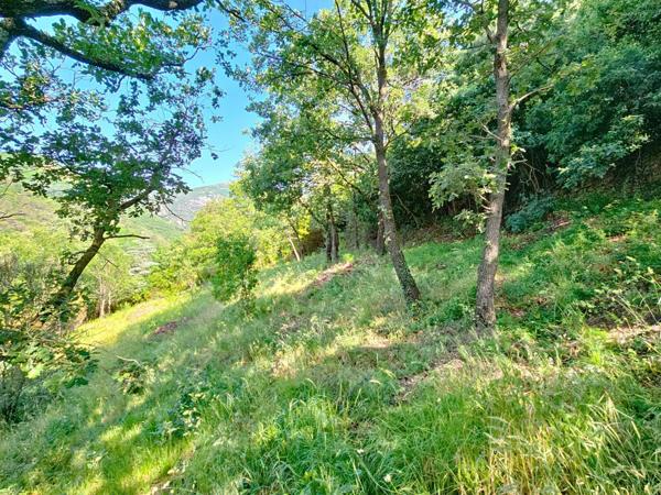 Graissessac – Ruine à réhabiliter avec terrain de 2 500 m² et vue dominante