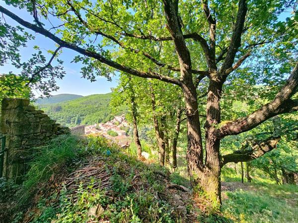 Graissessac – Ruine à réhabiliter avec terrain de 2 500 m² et vue dominante