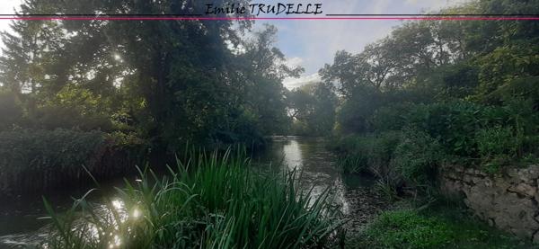 Dpt Sarthe (72), à vendre LA CHARTRE SUR LE LOIR maison 5/6 chambres BORD DE LOIR terrain de 275m²