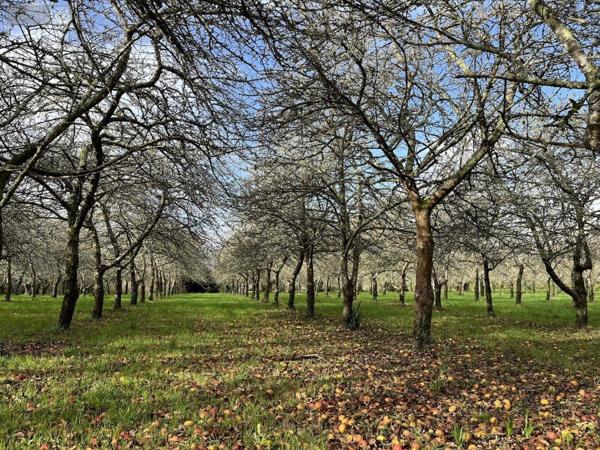 Maison à vendre à La Forêt-Fouesnant dans le Finistère (29940), ref : 29014-3047