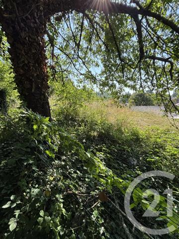 Maison à vendre  5 pièces - 115 m2 BEZENET - 03