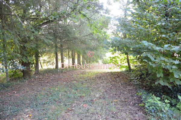 Terrain à vendre de 1 590 m²
