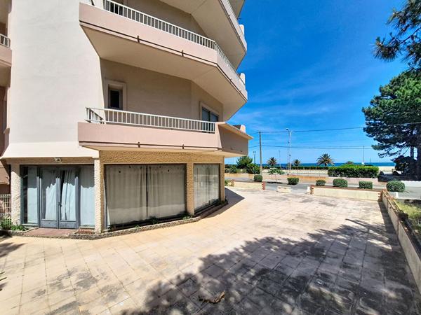 Local commercial Argeles Sur Mer 133 m2