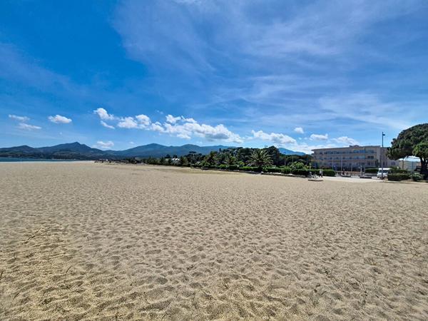 Local commercial Argeles Sur Mer 133 m2