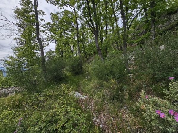 Vente / Terrain
