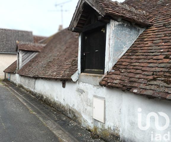 Maison 3 pièces de 75 m² à Selles-sur-Cher (41130)