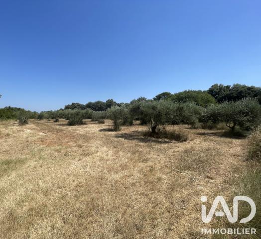 Terrain à vendre 1 764 m² Saint-Siffret