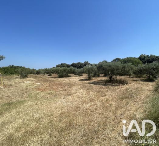 Terrain à vendre 1 764 m² Saint-Siffret