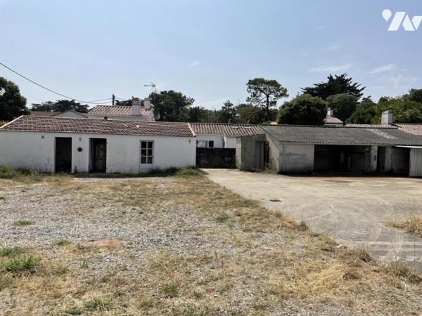 L'EPINE, BOIS DES ELOUX